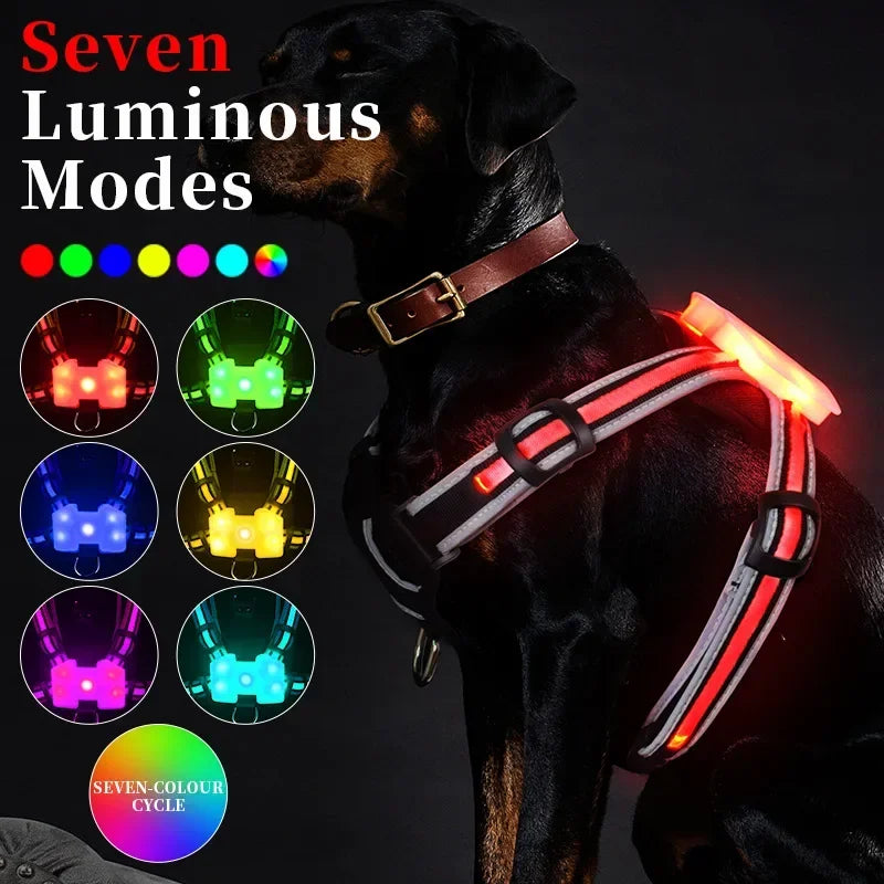Night-Ready LED Dog Vest Harness With USB Rechargeable Lights