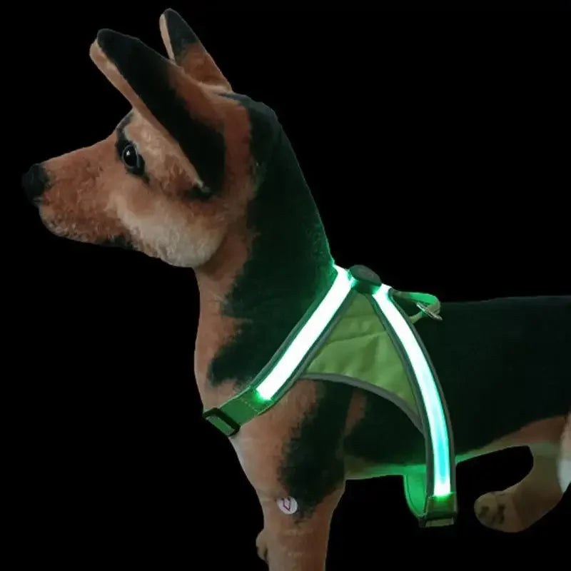 USB LED Dog Chest Harness With Leash For Night Safety Walks