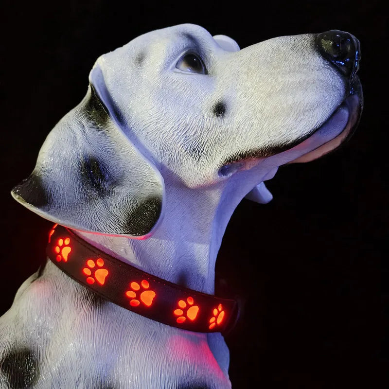 Rechargeable LED Dog Collar And Leash Set For Night Visibility