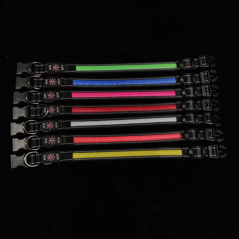 USB LED Dog Collar and Retractable Leash Set for Night Walks