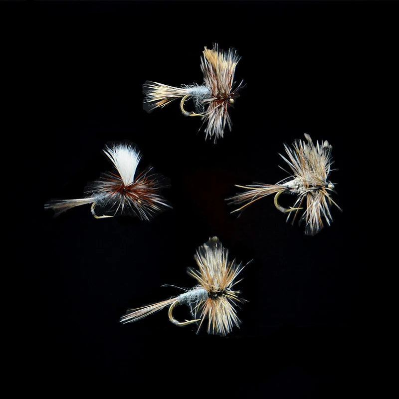 Adams dry fly patterns arranged on dark background