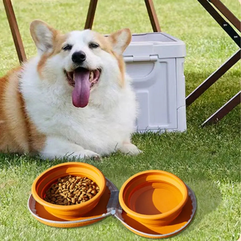 Dog outdoors using brown collapsible pet bowl on grass