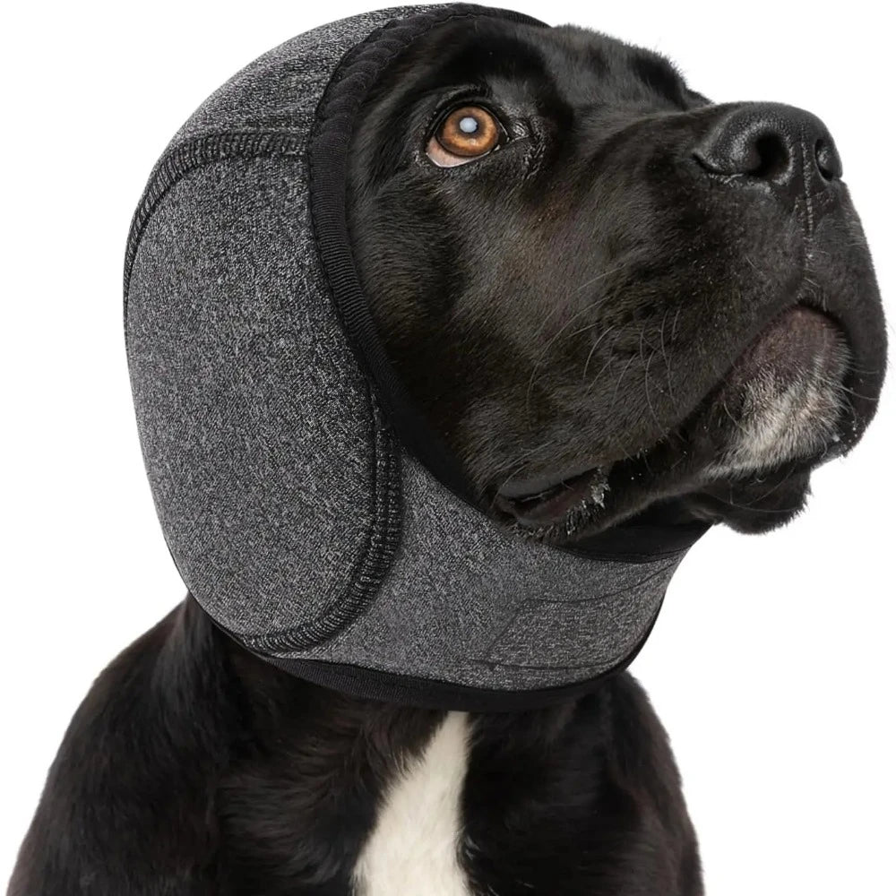 Black dog wearing grey calming ear hood