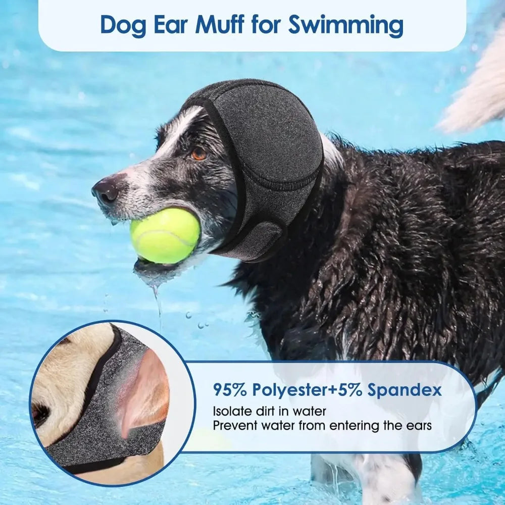 Dog wearing ear hood while swimming