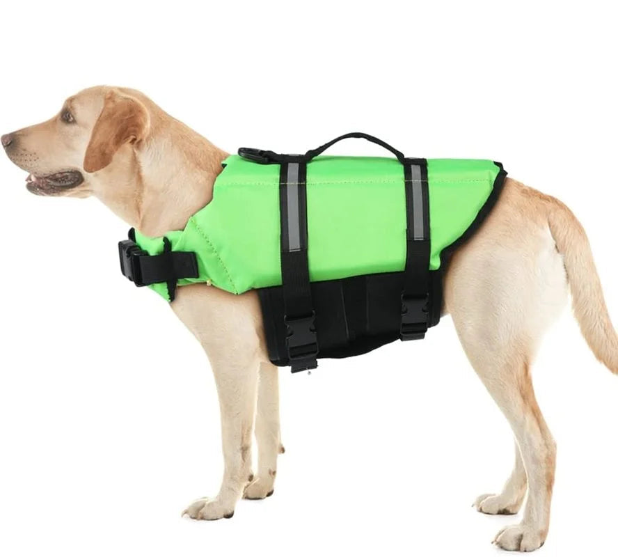 Side profile of dog wearing green flotation vest
