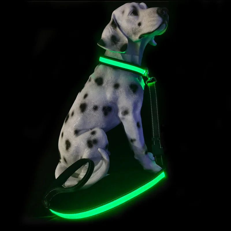 LED Dog collar and retractable leash