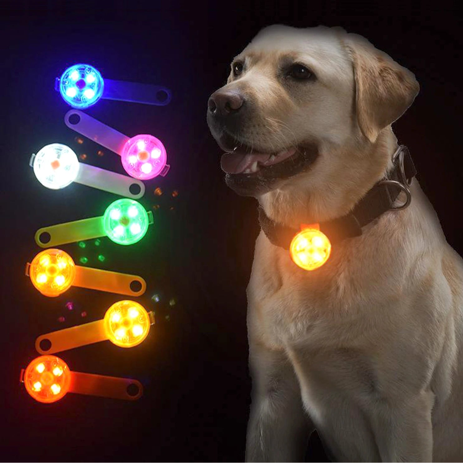 Dog wearing LED pendant