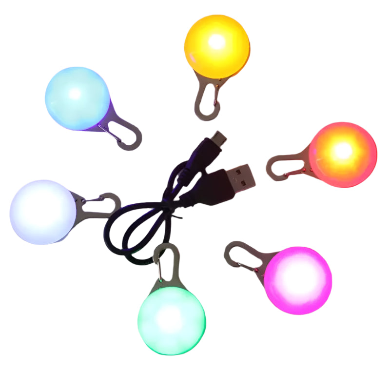LED pendant dog tag for collar