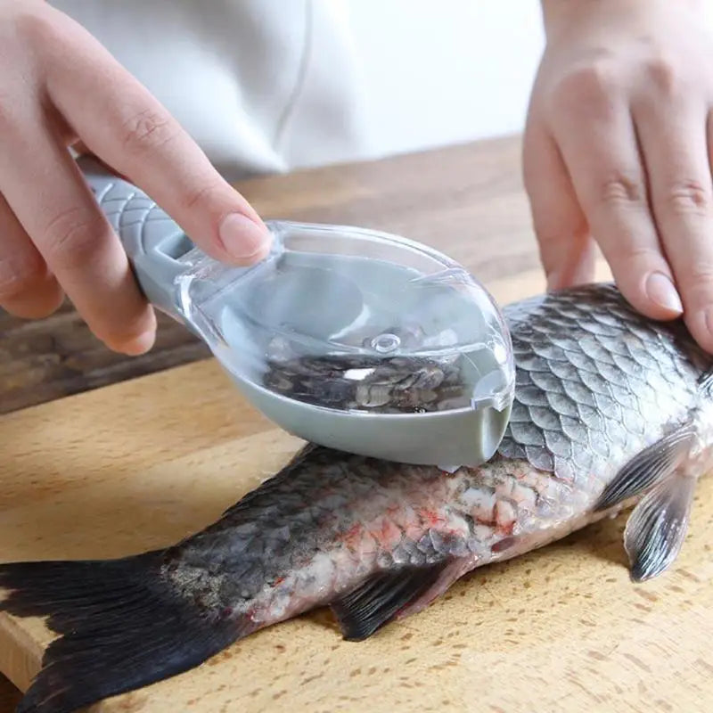 Plastic fish scale scraper removing scales from whole fish