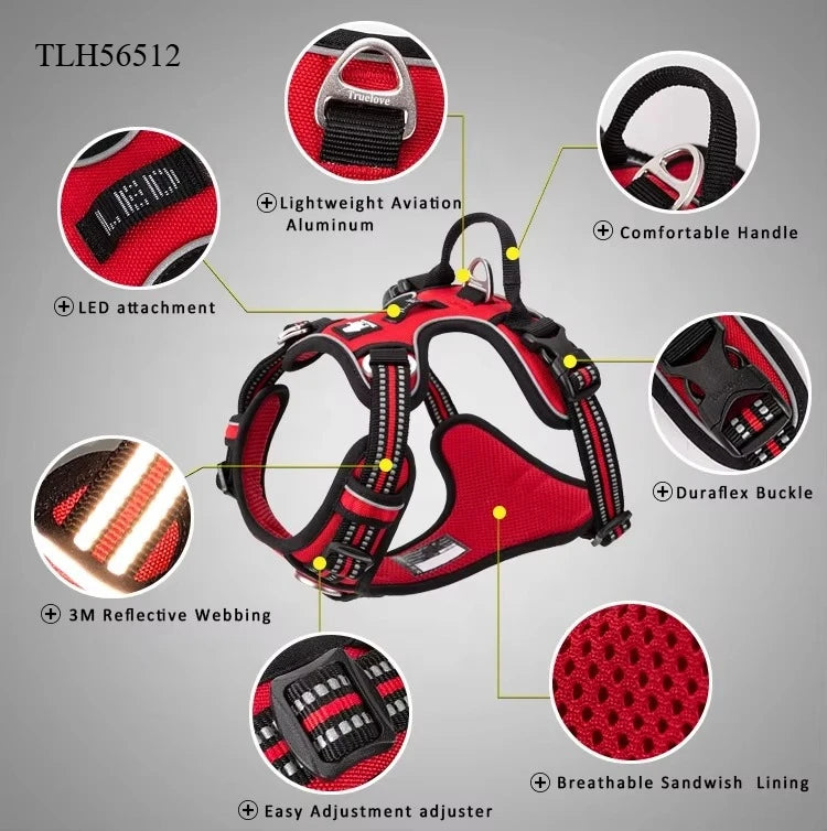 Red dog harness feature diagram showing buckles and chest padding