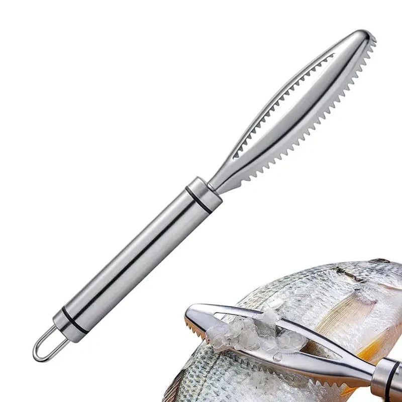 Close-up of stainless steel fish scaler tool