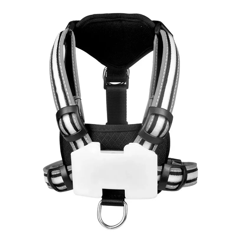 USB rechargeable LED dog harness