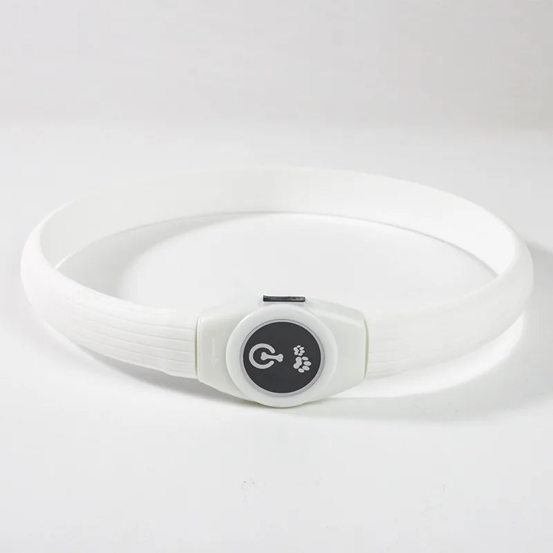 White adjustable USB rechargeable LED dog collar