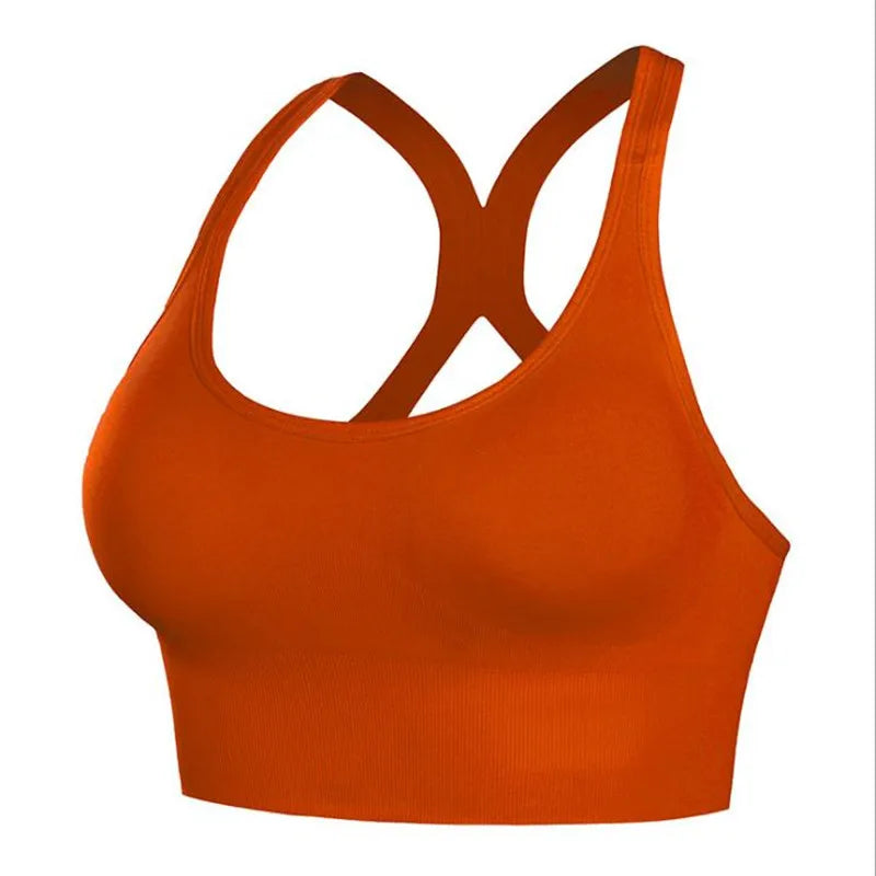 Quick Dry Padded Sports Bra – Seamless Push-Up for Women