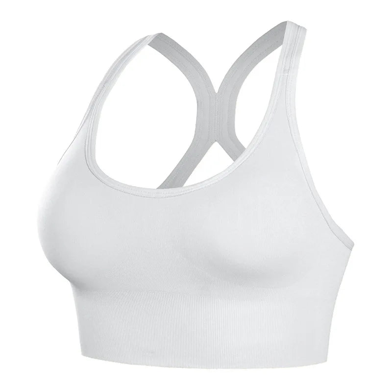 Quick Dry Padded Sports Bra – Seamless Push-Up for Women