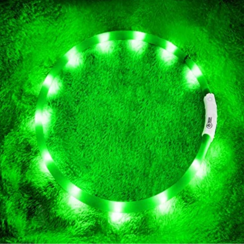 USB LED Dog Collar – 4-Mode Glowing Silicone Night Light
