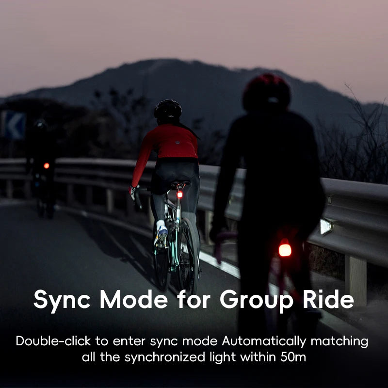 Smart Brake-Sensing USB Rear Bike Light with 12 Modes IPX6