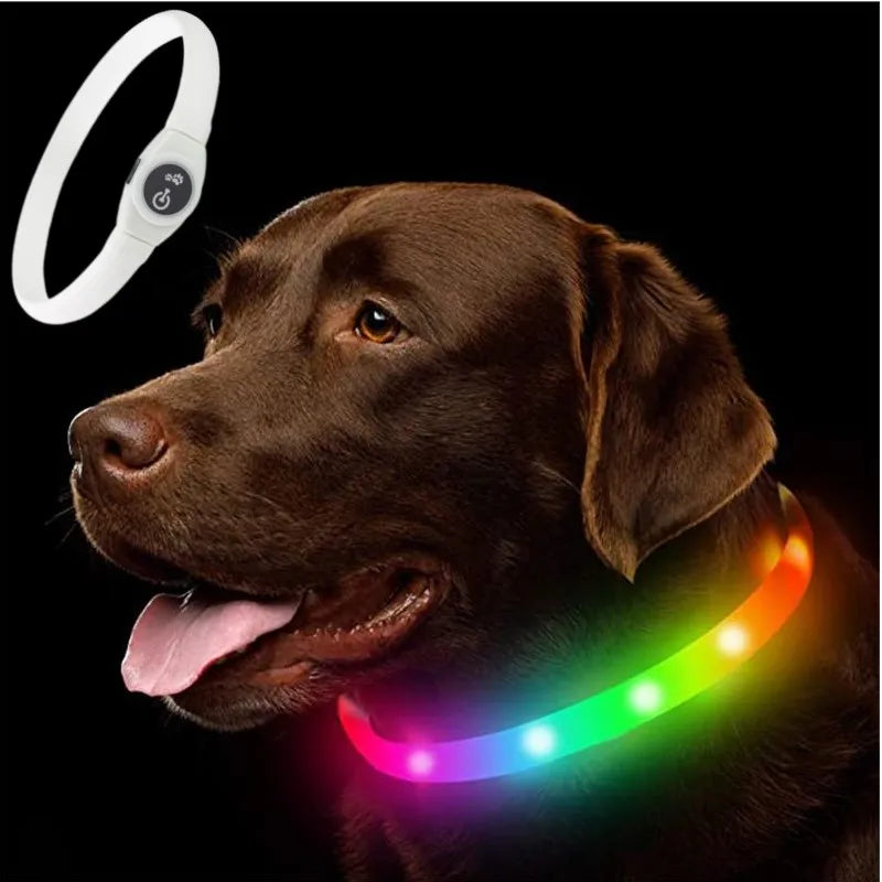 USB LED Dog Collar – Waterproof, Rechargeable Night Safety
