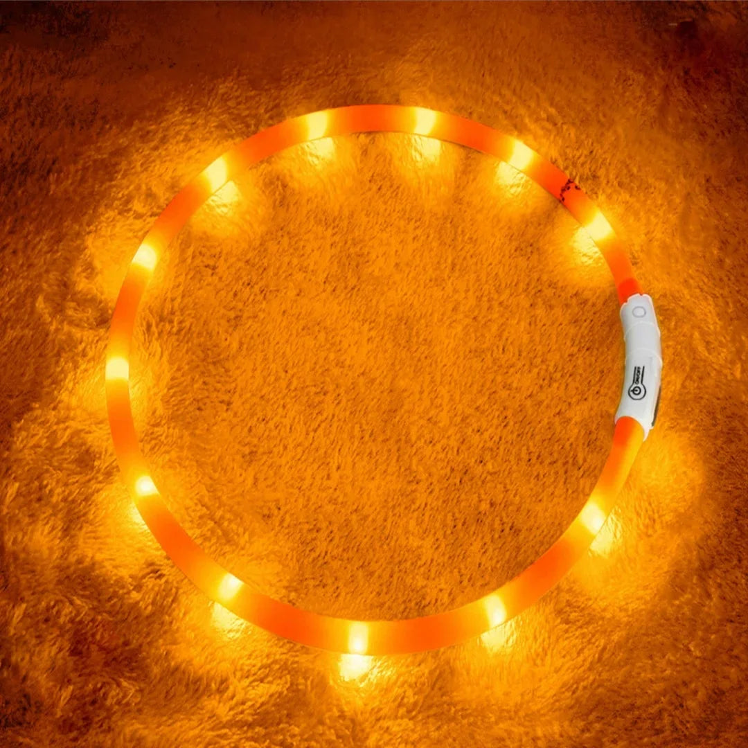USB LED Dog Collar – 4-Mode Glowing Silicone Night Light