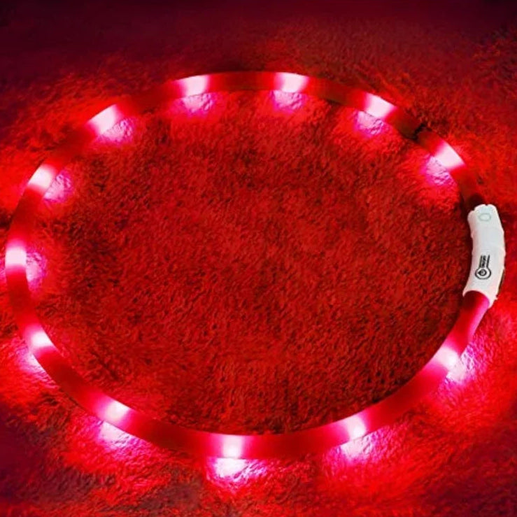 USB LED Dog Collar – 4-Mode Glowing Silicone Night Light