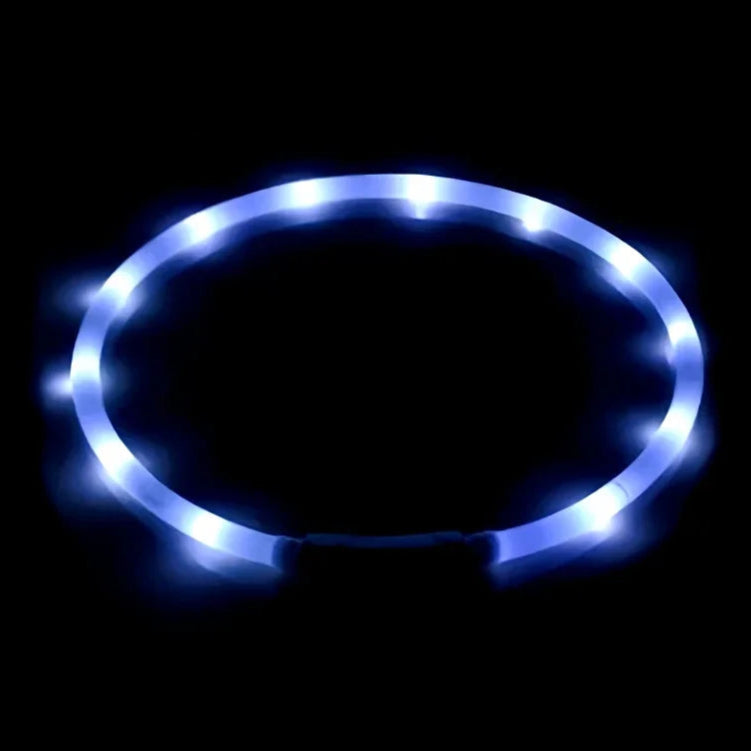USB LED Dog Collar – 4-Mode Glowing Silicone Night Light