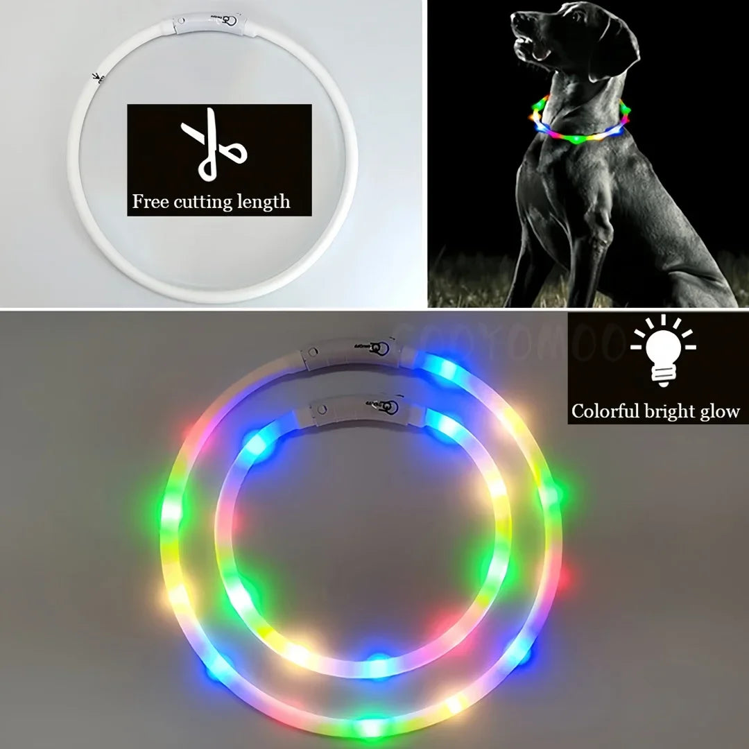 USB LED Dog Collar – 4-Mode Glowing Silicone Night Light