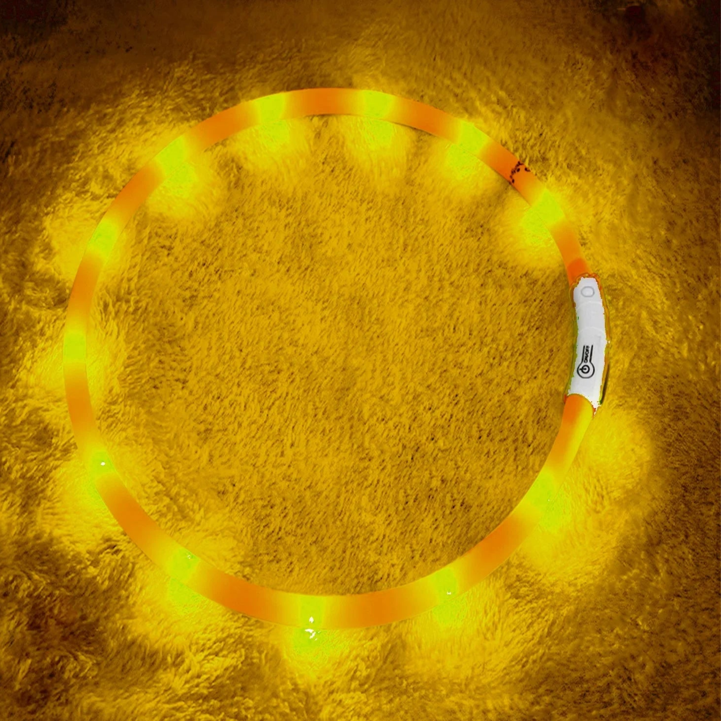 USB LED Dog Collar – 4-Mode Glowing Silicone Night Light