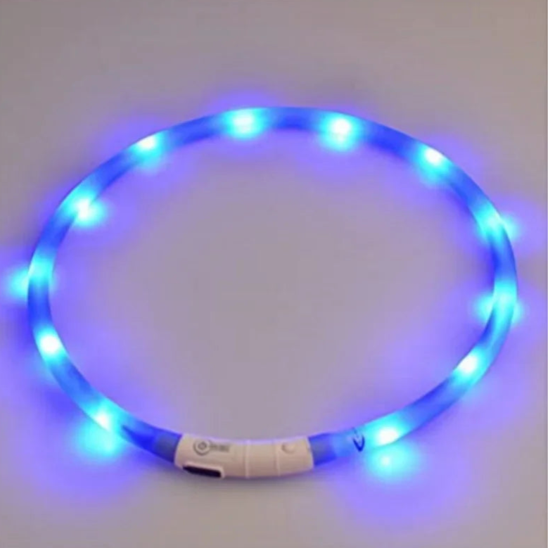 USB LED Dog Collar – 4-Mode Glowing Silicone Night Light