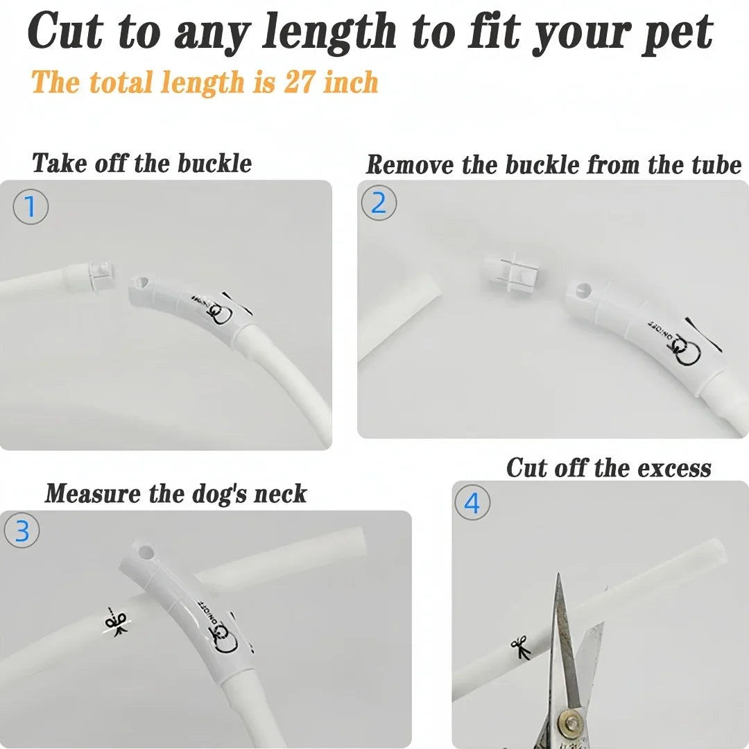 USB LED Dog Collar – 4-Mode Glowing Silicone Night Light