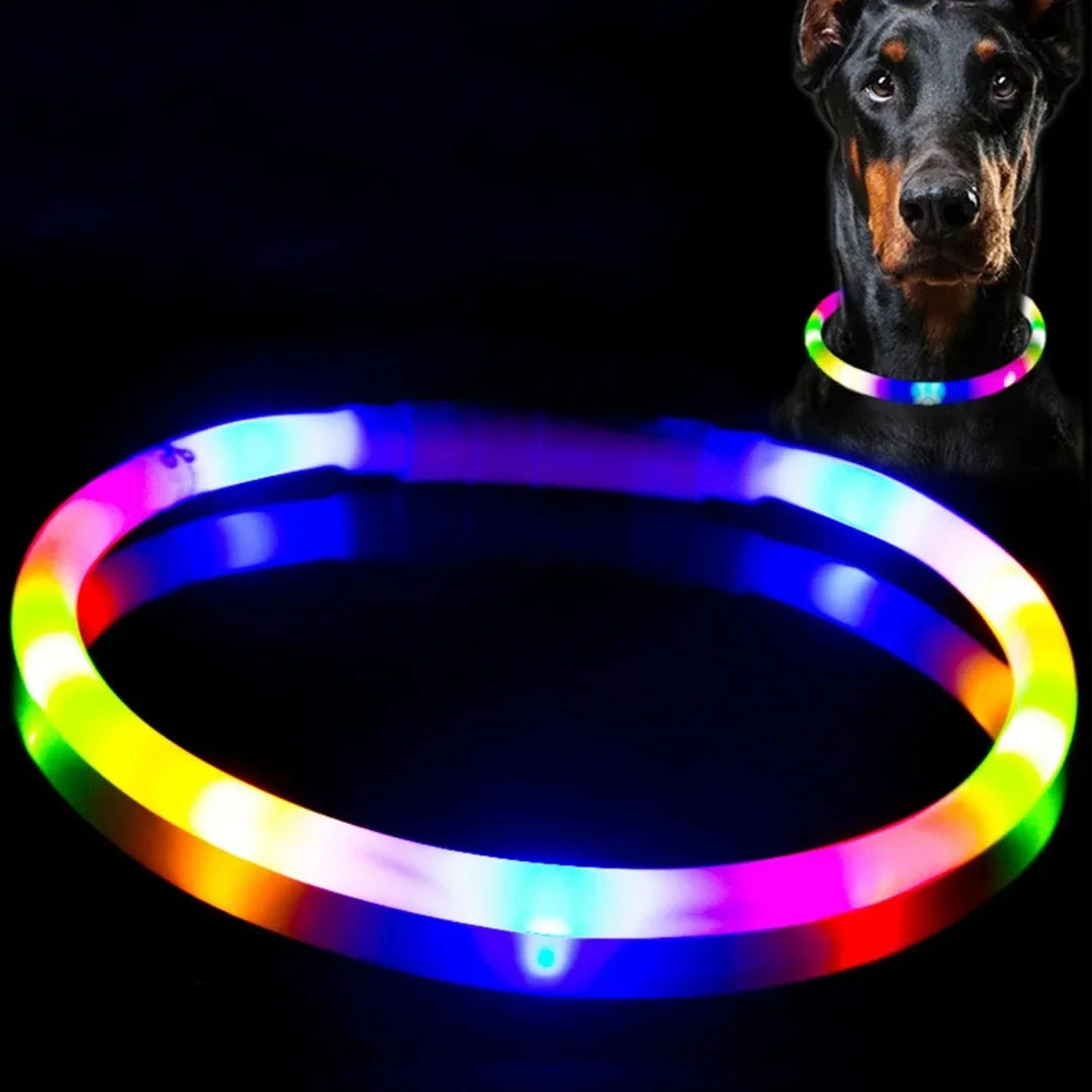 USB LED Dog Collar – 4-Mode Glowing Silicone Night Light