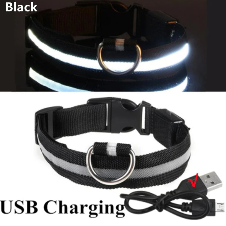 Black USB rechargeable LED dog collar with charging cable
