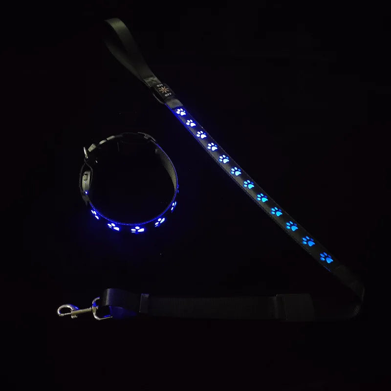 Blue LED dog collar and matching leash set