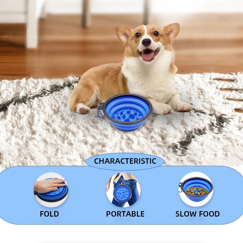 Dog using blue collapsible slow feeder bowl outdoors