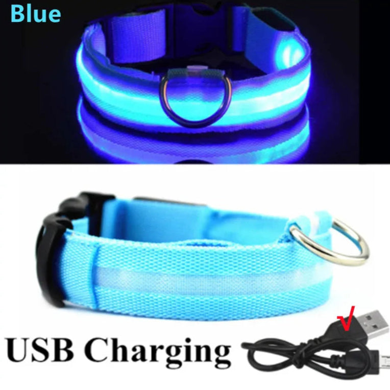 Blue USB rechargeable LED dog collar with charging cable