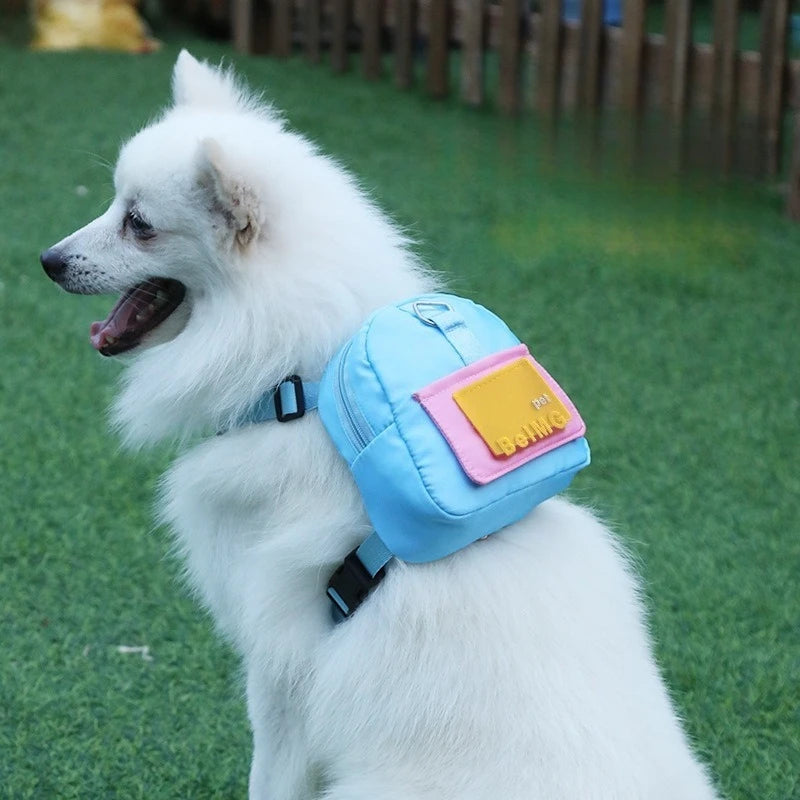 Small white dog wearing blue harness backpack