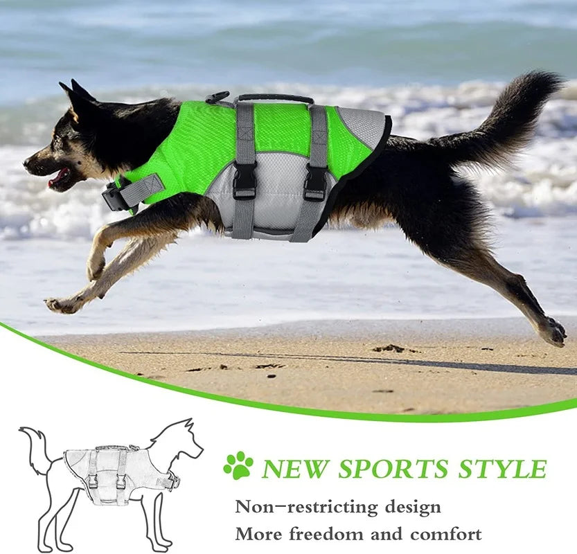 Dog running on beach in green flotation vest