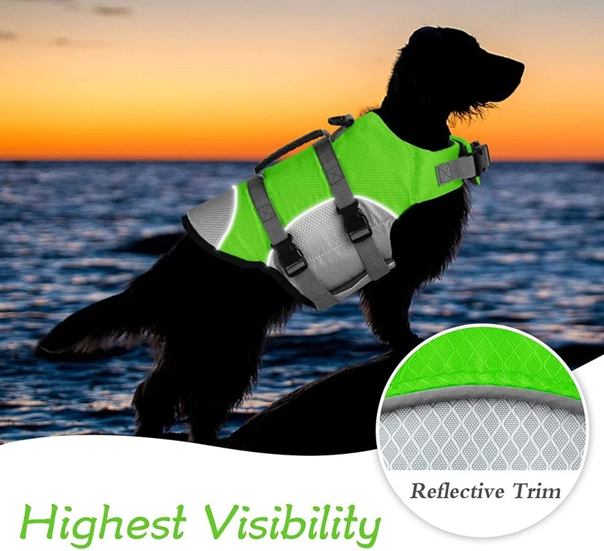 Dog swimming in water wearing bright green life jacket