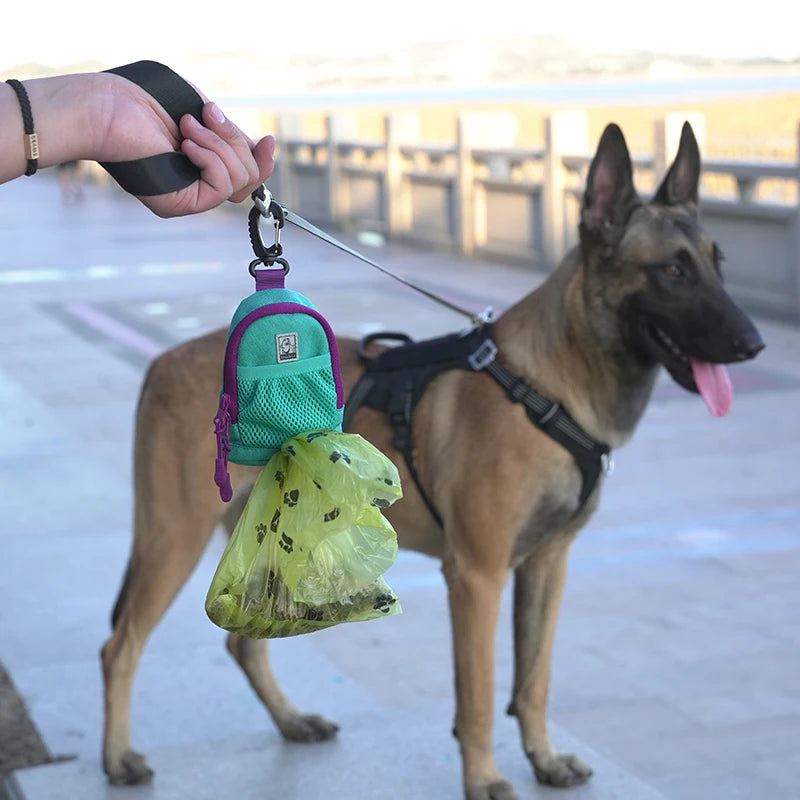 Dog wearing treat pouch with waste bags attached