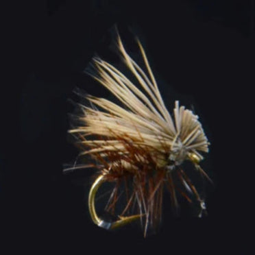 Elk Hair Caddis dry fly close-up on dark background