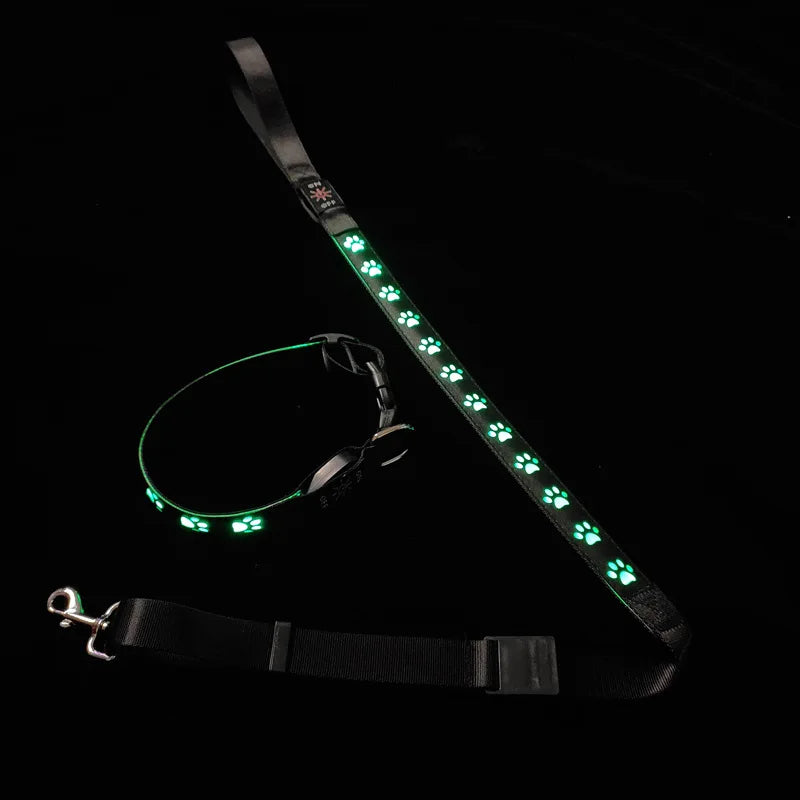 Green LED dog collar and matching leash