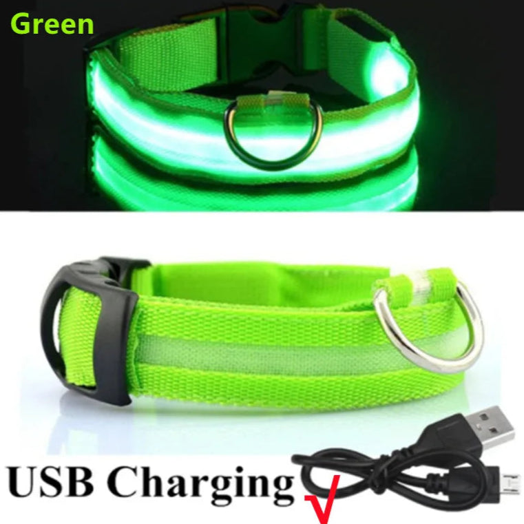 Green USB rechargeable LED dog collar with charging cable