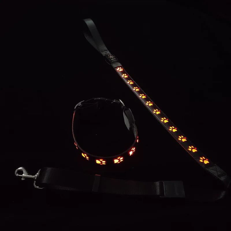 Orange LED dog collar and leash in dark