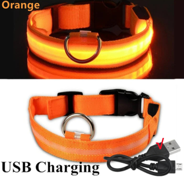 Orange USB rechargeable LED dog collar with charging cable