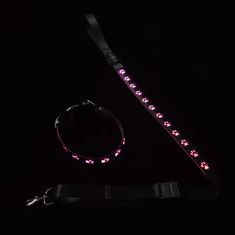 Pink LED dog collar and matching leash