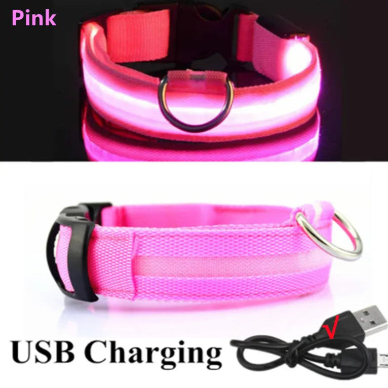 Pink USB rechargeable LED dog collar with charging cable