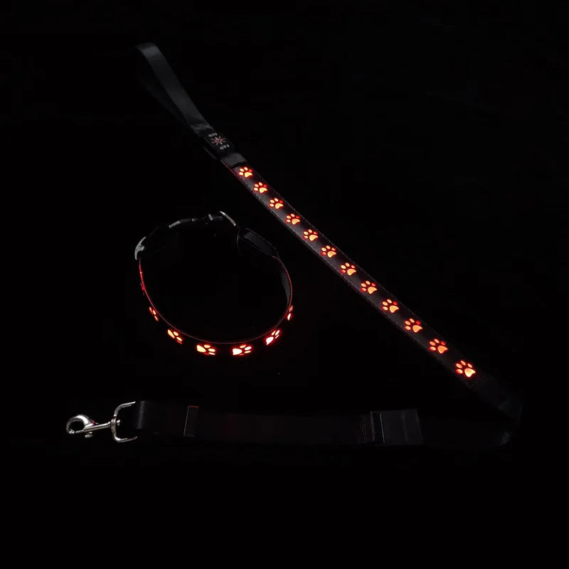 Red LED dog collar and matching leash
