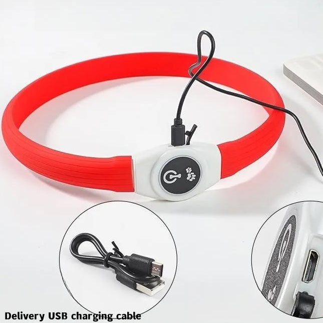 Red USB rechargeable LED dog collar with charging cable