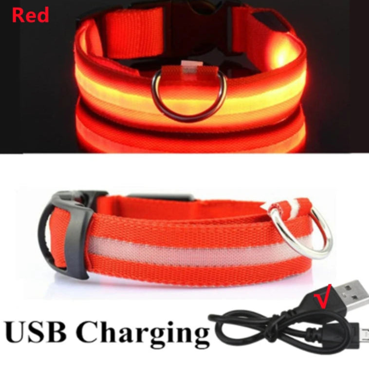 Red USB rechargeable LED dog collar with charging cable