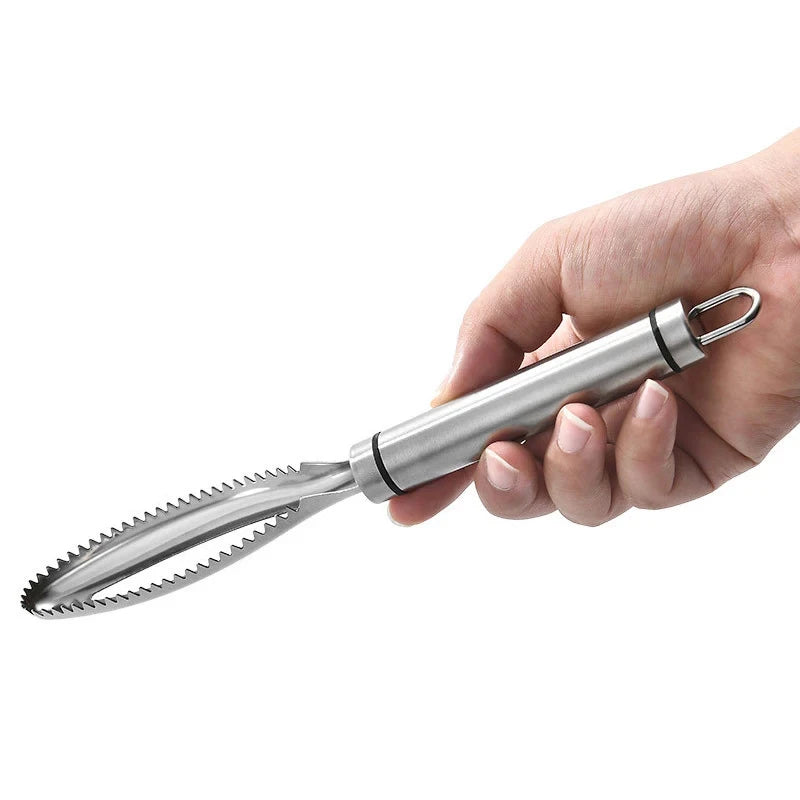 Hand holding stainless steel fish scaler tool