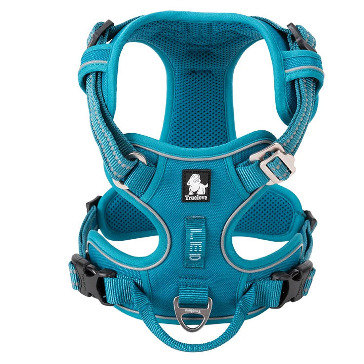 Teal padded dog harness with adjustable straps and chest support